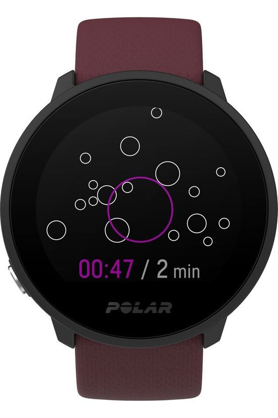 Polar Cardiofréquencemètre Unite Plum S-L prune