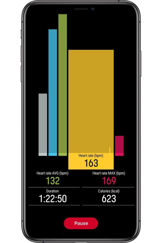 Polar Acc Sport Verity Sense Ohr Gry M-XXL dark grey