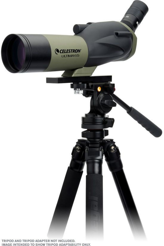 Celestron Télescope Spotting Scope 65Mm Ultima Angeled Black
