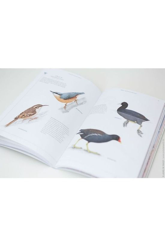 Outdoor Livre Out Fluitend Door Het Leven 2019