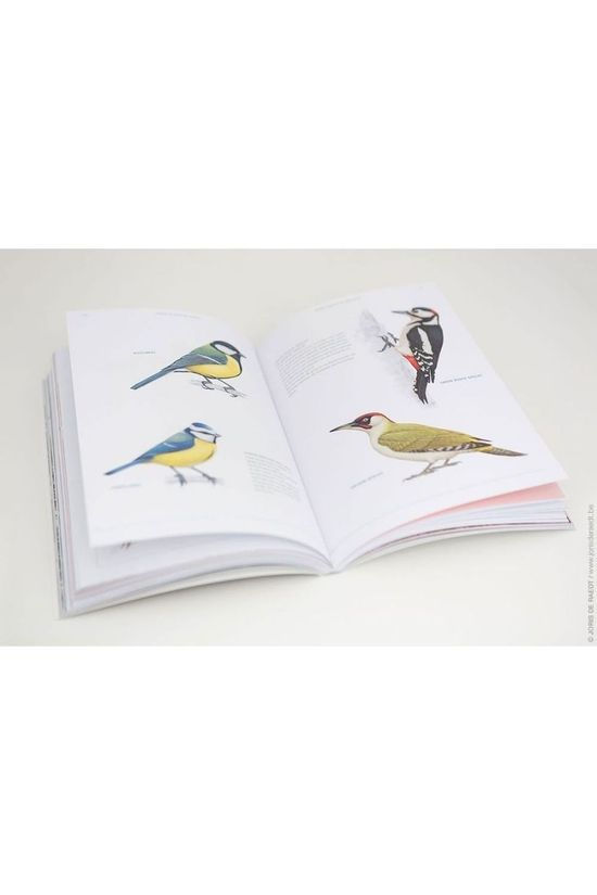 Outdoor Livre Out Fluitend Door Het Leven 2019